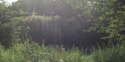 Tailor Made Resources Suffolk sun