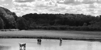 North Norfolk holiday