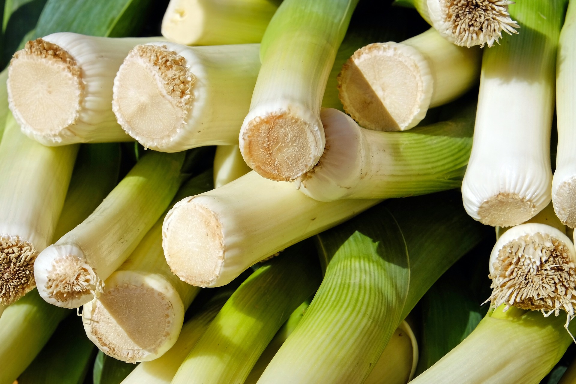 British fresh produce - leeks