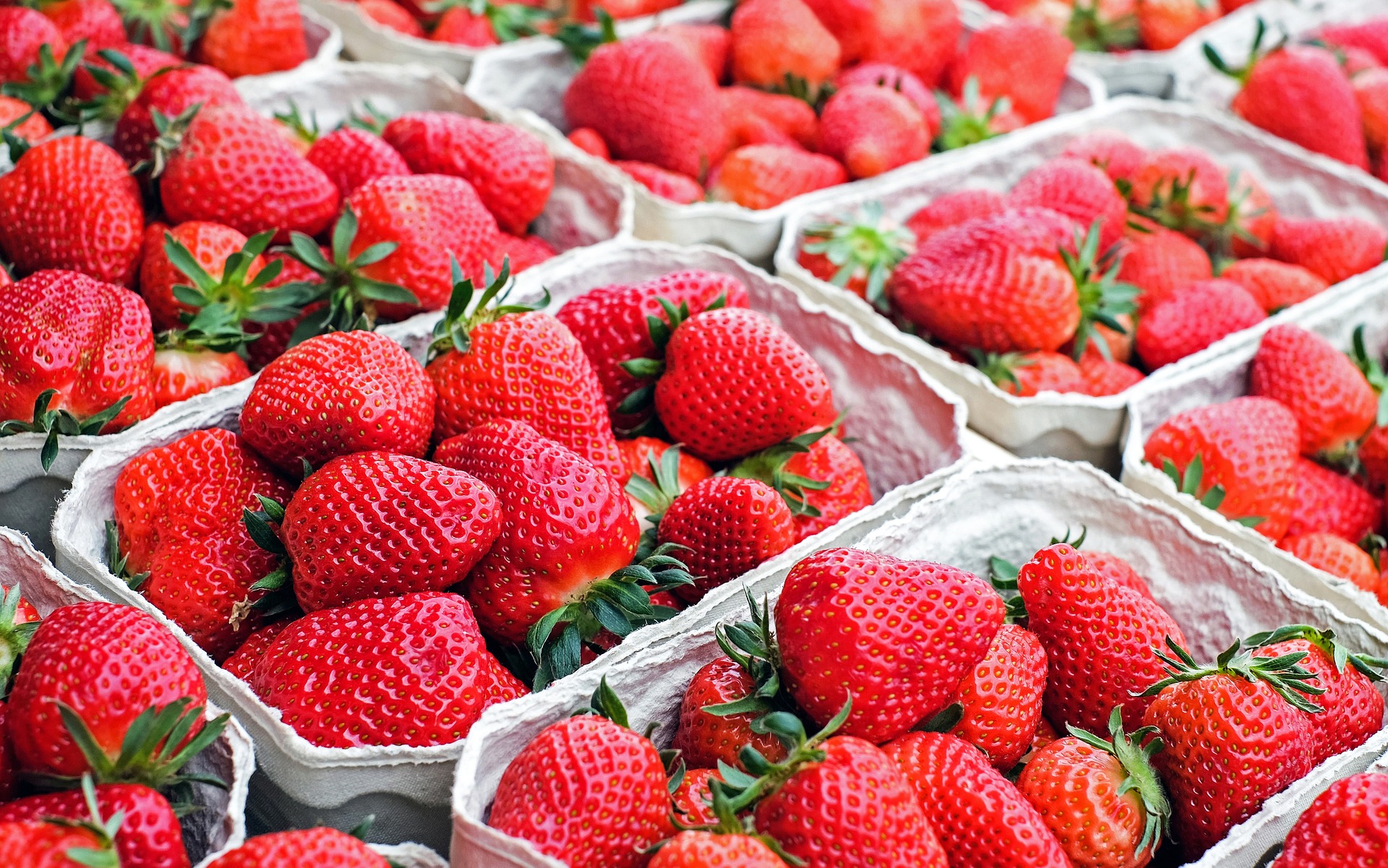 UK Strawberry Season is finally in full swing with a glut of strawberries expected.